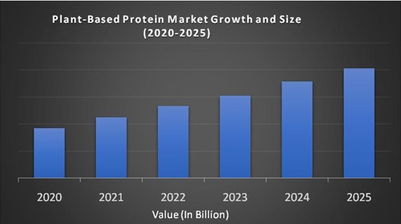 Plant-based Protein Market